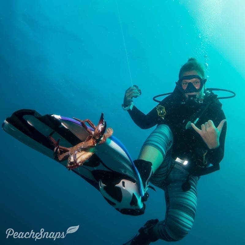 Divemaster Best Diving Thailand