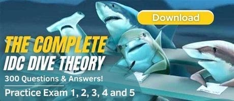 PADI IDC Theory Exams